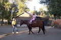 Cowboy Up at the KOA